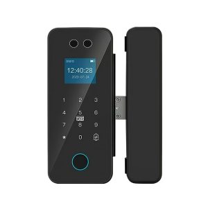 HH-A17 Face Recognition Glass Door Smart Lock with Palm Vein