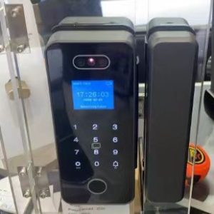 HH-A17 Face Recognition Glass Door Smart Lock with Palm Vein