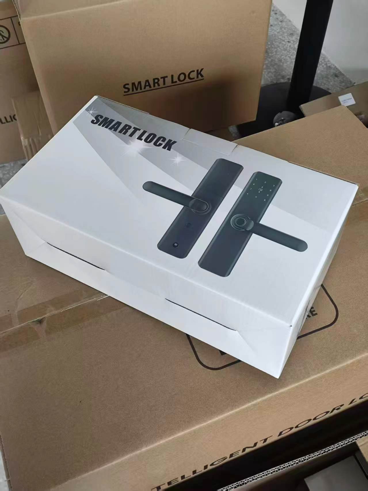 HHZS-M10 Fingerprint Digital Door Lock - Image 4