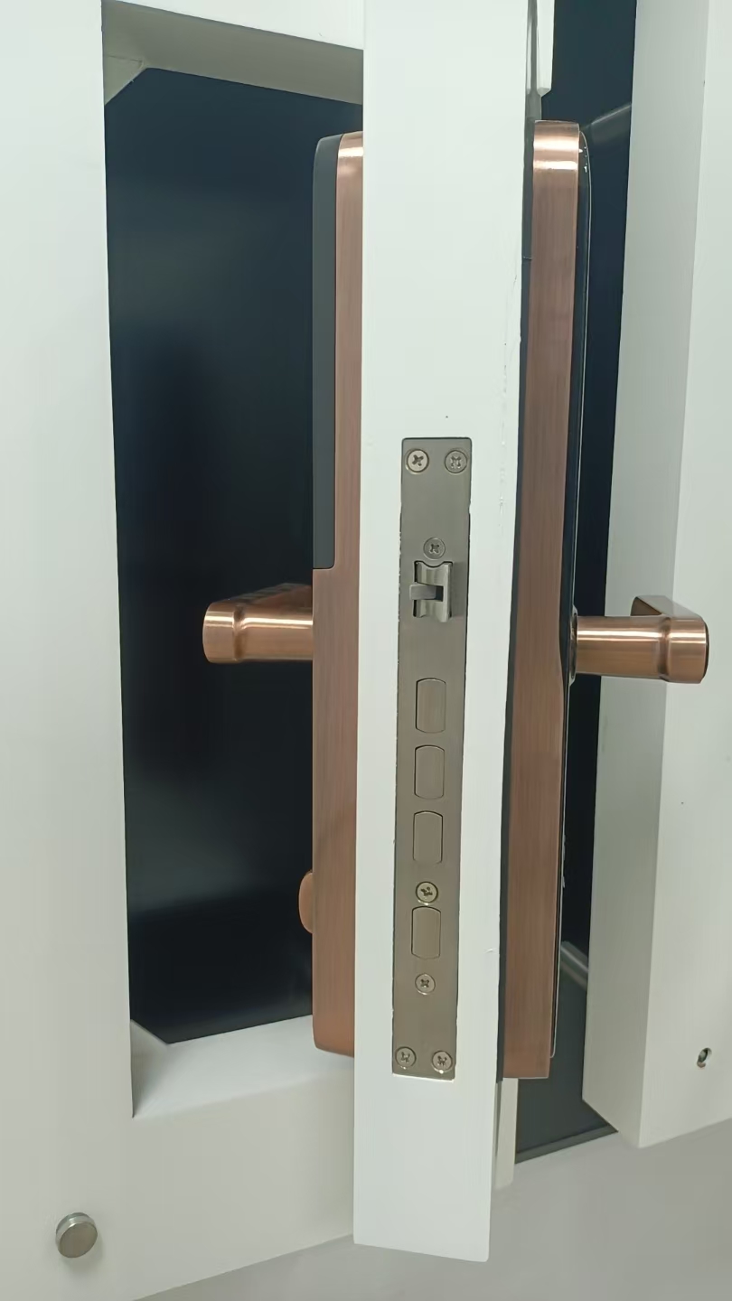 HH-P8S Fingerprint & Face Recognition Smart Door Lock - Image 7
