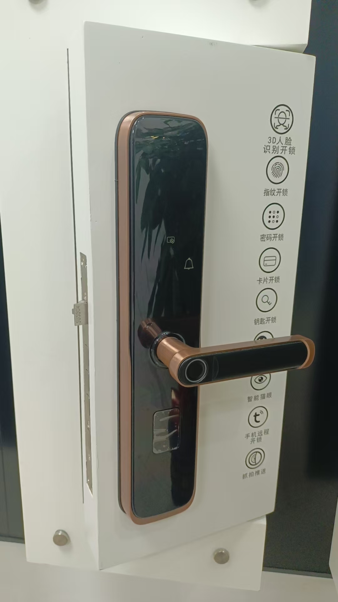 HH-P8S Fingerprint & Face Recognition Smart Door Lock - Image 6