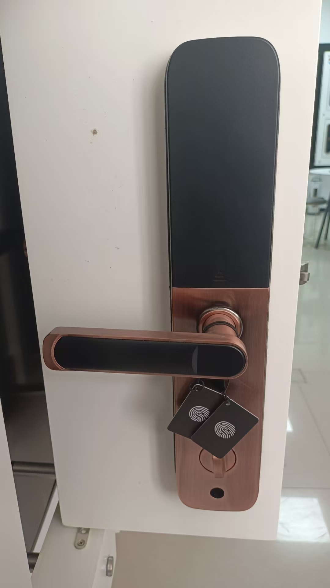 HH-P8S Fingerprint & Face Recognition Smart Door Lock - Image 5