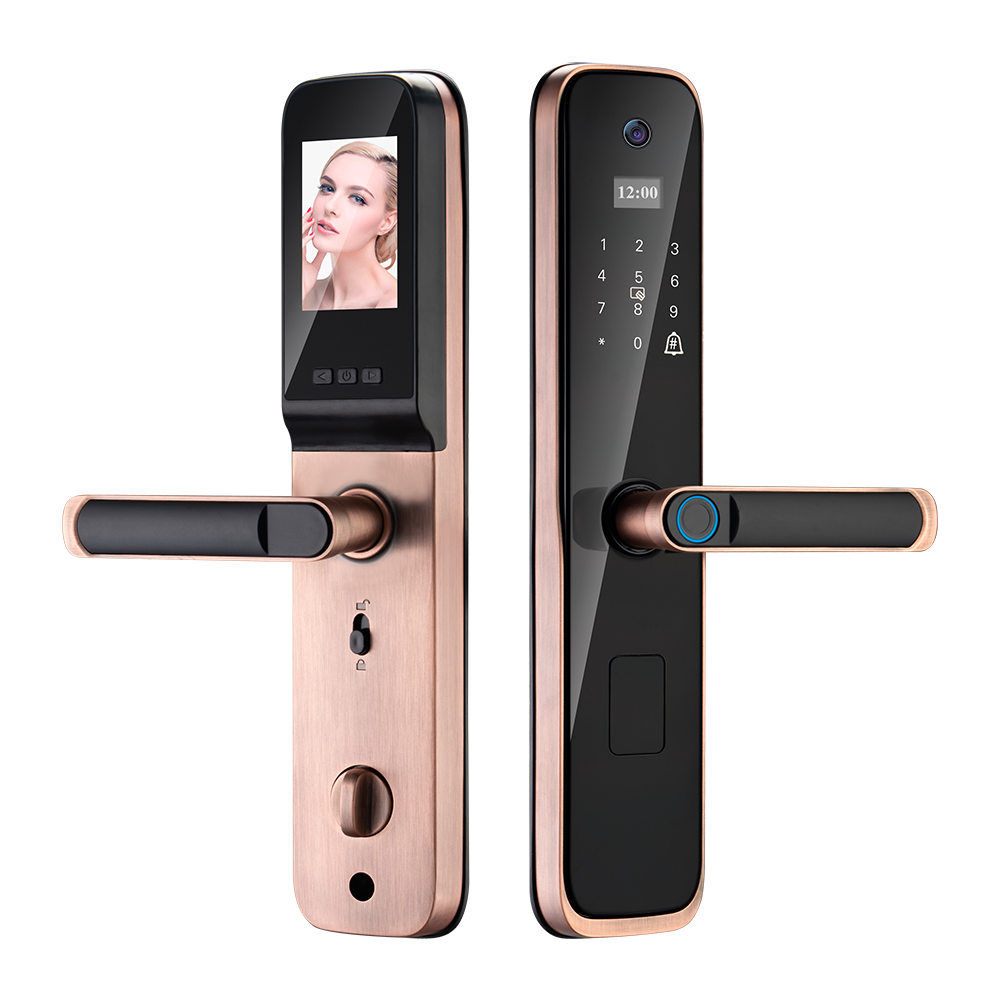 HH-P8S Fingerprint & Face Recognition Smart Door Lock - Image 3